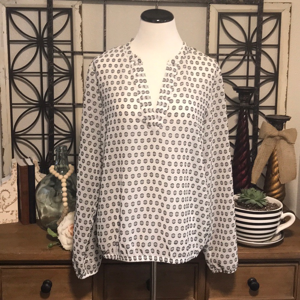 THE LIMITED Sheer blouse